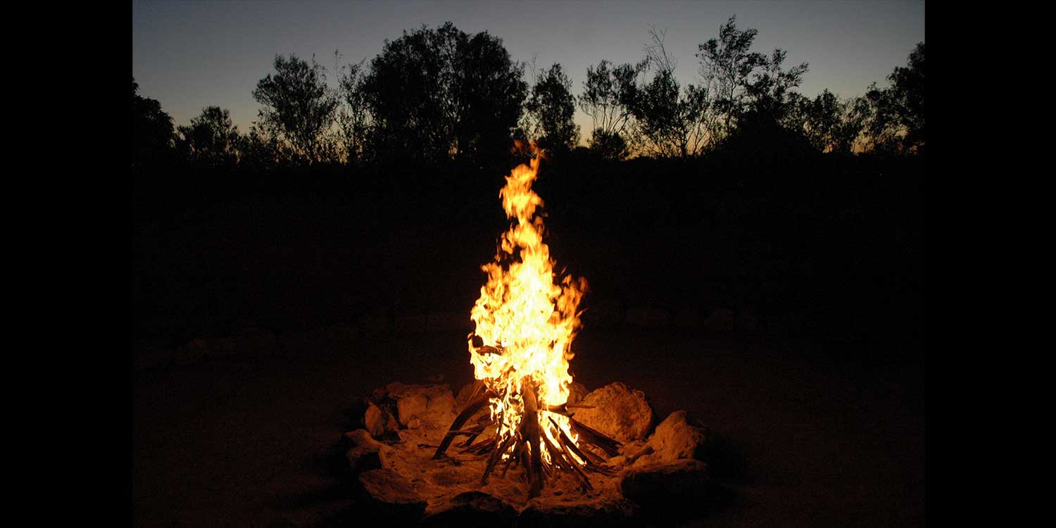 Pourquoi le feu de bois est indispensable pour réussir vos soirées d'hiver